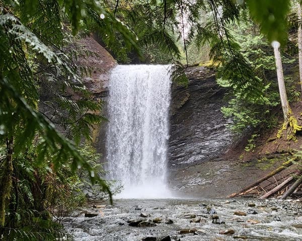 Nanaimo: Cathedral Grove, Waterfalls & Animal Sanctuary