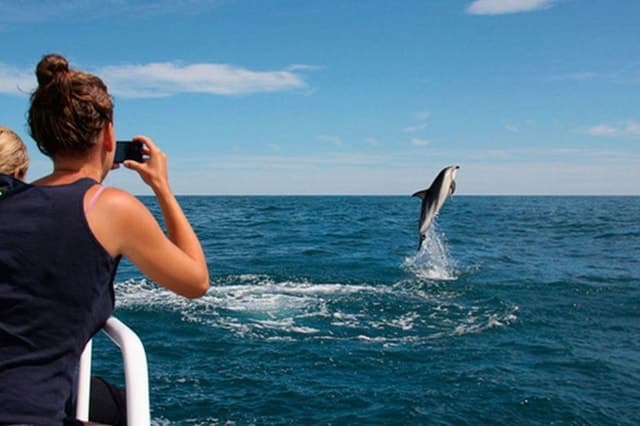 Pula: All-Inclusive Premium Brijuni Island Visit & Dolphins