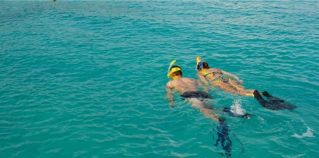 La Palma : Snorkeling Tour in Los Cancajos