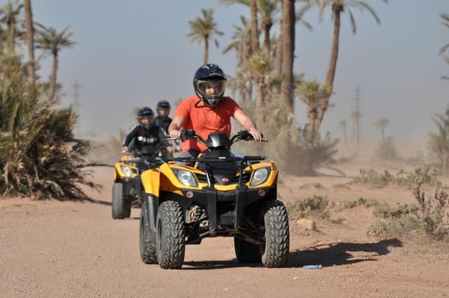 Marrakech:excursion quad in Oasis palm & jbilat desert,tea