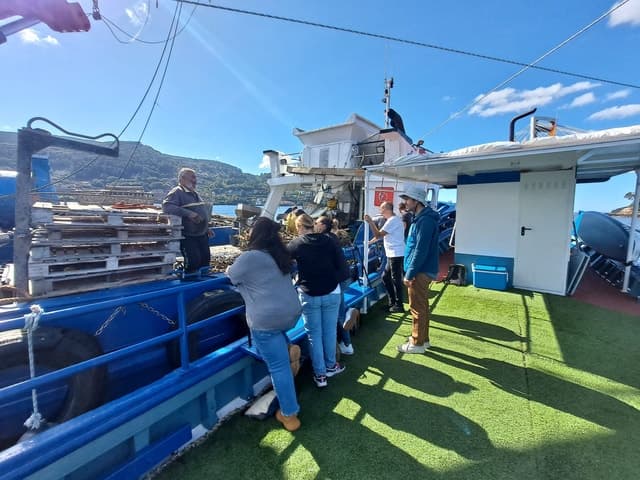 Best Vigo Estuary Catamaran Tours & Prices
