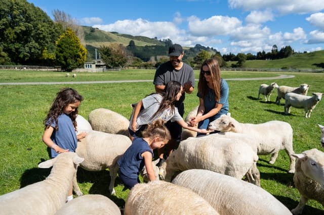 Rotorua: Authentic Kiwi Farm Experience at the Agrodome
