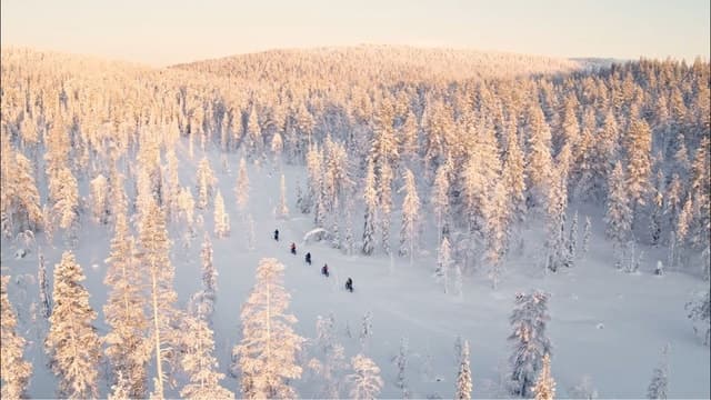 Epic Rovaniemi Fatbike Adventures: Ride Through Lapland