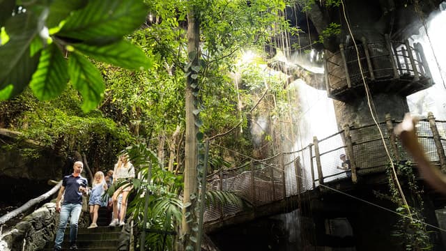 Gothenburg: Universeum Entry Ticket