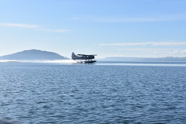 Rotorua: Scenic Flight over Mt Tarawera & Waimangu Valley