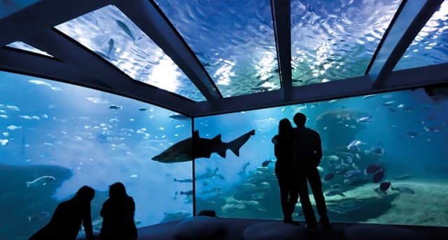 Palma: Palma Aquarium Ticket with Transfer Service