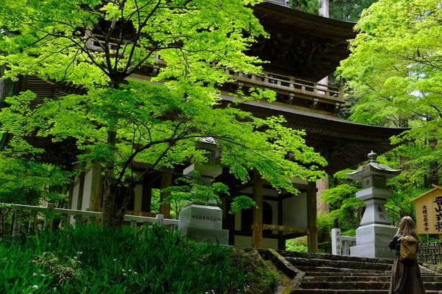 Fm Odawara: Forest bathing and onsen with healing power