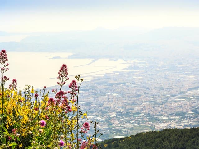 From Pompeii: Mount Vesuvius Hike & Tour by Bus