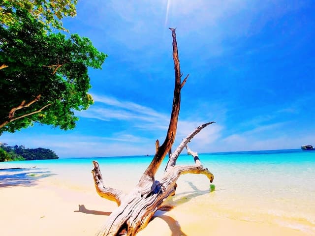 Ko Lanta: Koh Rok & Koh Haa Snorkelling Tour by Speedboat