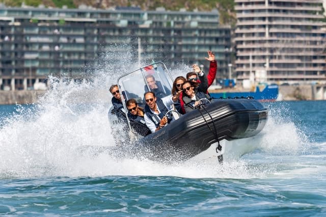 Porto: Exciting 6 Bridges Speedboat Tour on Douro River