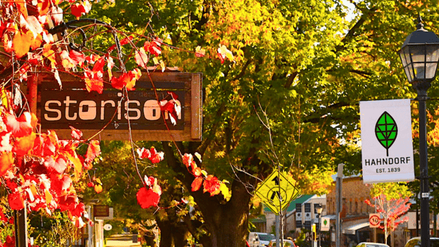 Adelaide: Half-Day City Highlights Tour, Mt Lofty & Hahndorf