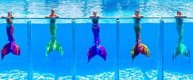 From Antalya/Kemer: Dolusu Park (Standart Package)