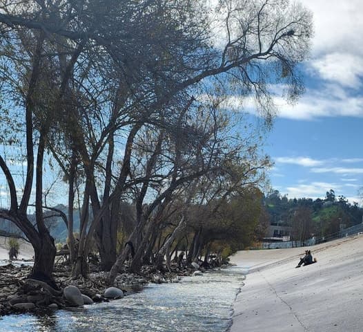 LA River Eco Tour and Secret Stair Hike