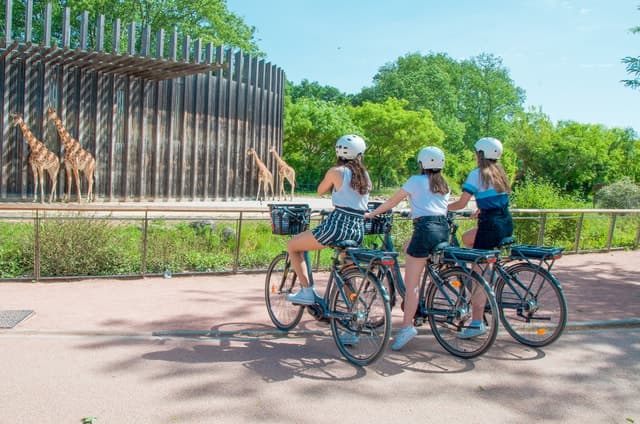 2 hours guided bike tour of Lyon
