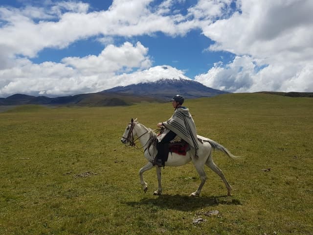 Cotopaxi National Park Horseback Riding Tour