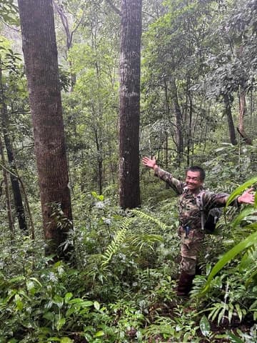 Explore Wat Doi Suthep Temple & Mountain Views
