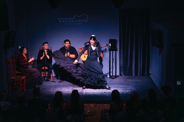 Authentic Flamenco Shows & Cultural Magic in Valencia