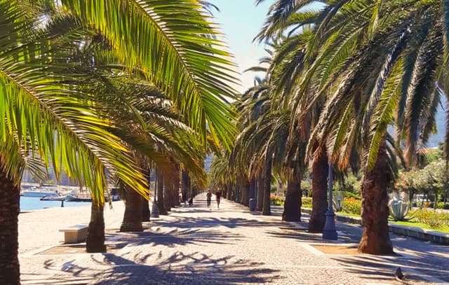Best La Spezia Food Tour: Authentic Culinary Experiences