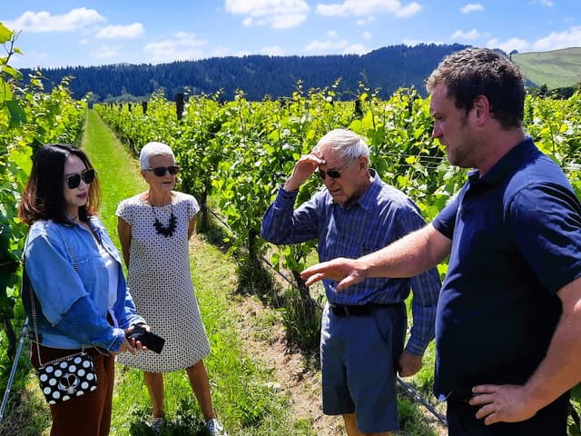 Martinborough Wine and Food Tour with Lunch from Wellington