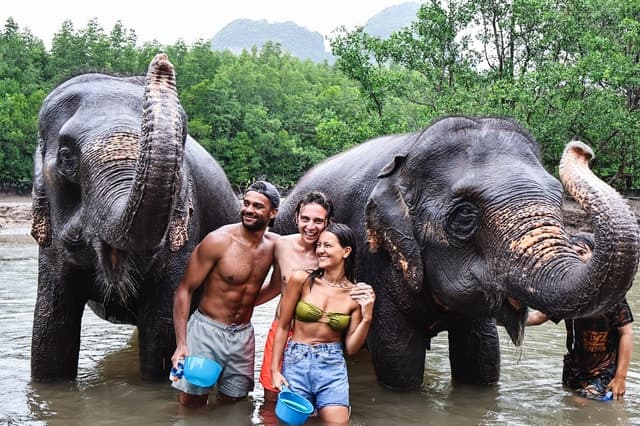 Krabi: Elephant Bathing Session at Krabi Elephant Shelter