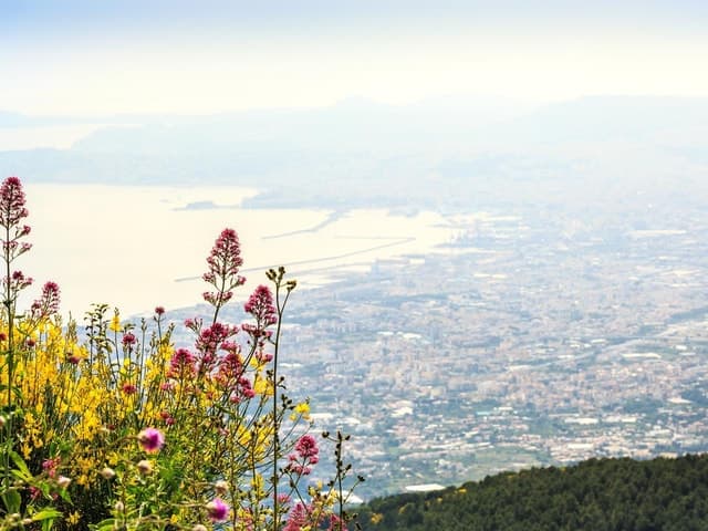 Mount Vesuvius Transfer with Entry Tickets