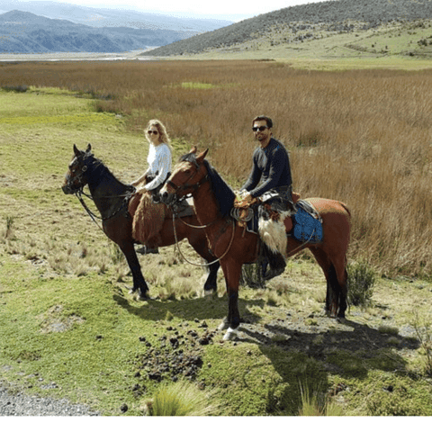 Quito: Cotopaxi National Park Horseback Riding with Lunch