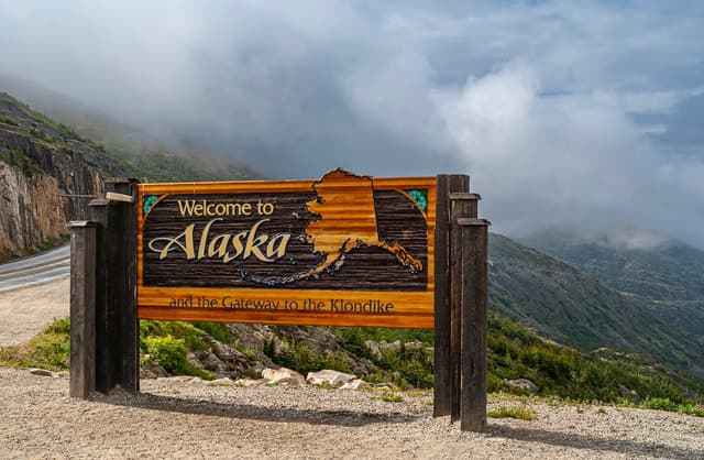 From Skagway: White Pass Summit Guided Bus Tour