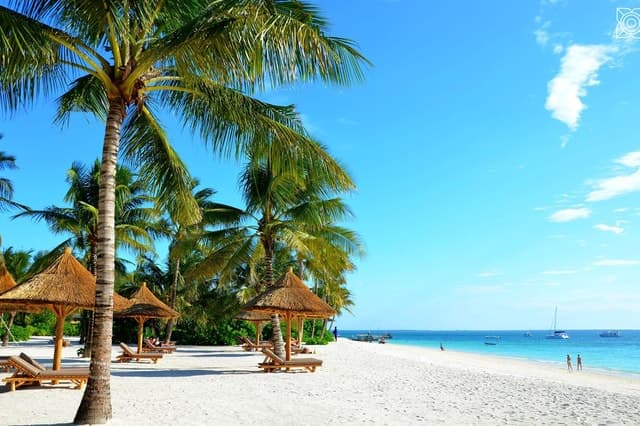 Best Mbudya Island Day Trip & Snorkeling in Dar es Salaam