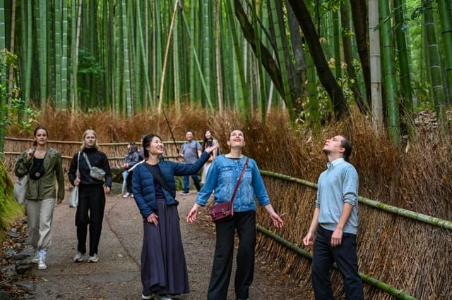 Kyoto to Arashiyama Day Trip - Private & Personalized