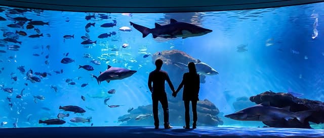 Mallorca: Palma Aquarium Entry Ticket w/ Optional 3D Cinema
