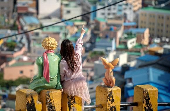 Busan: Rent a car with driver (Private Van charter 8hour)