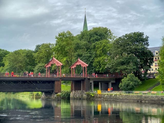 Trondheim: City Highlights Bus and Walking Tour