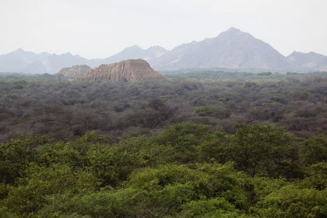 Chiclayo: Pomac Forest Historic Sanctuary & Sican Museum