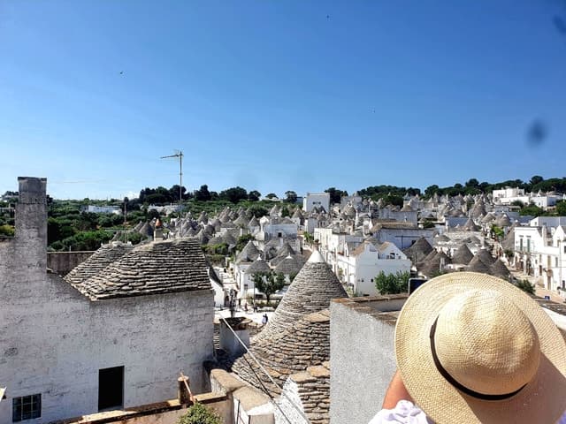 Brindisi: Alberobello, Locorot, Ostuni, guided tour & Brunch