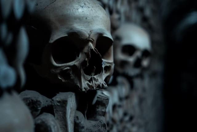 Paris: Catacombs, Audio Guide, and River Cruise Option