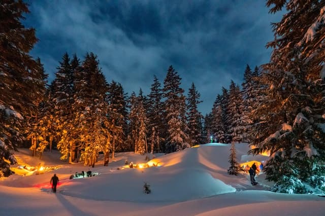 Bend Snowshoe Brew Tour