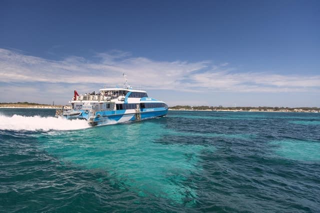 Best Rottnest Island Tours: Quokkas, Beaches & Adventures