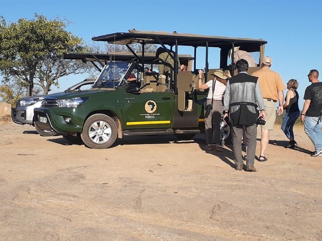 From Malelane: Kruger National Park Full-Day Safari