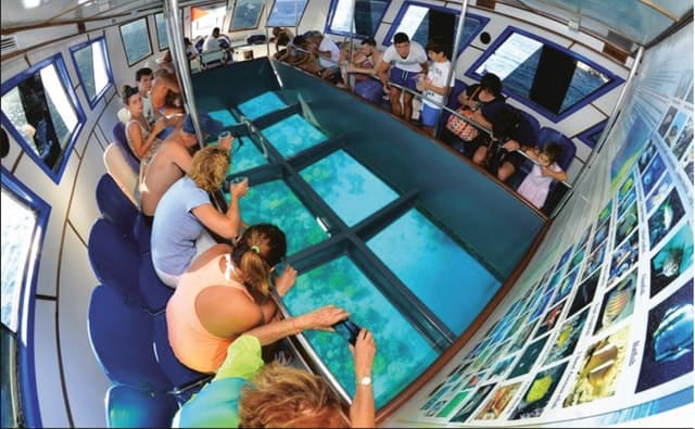 Best Aqaba Glass Bottom Boat Tours