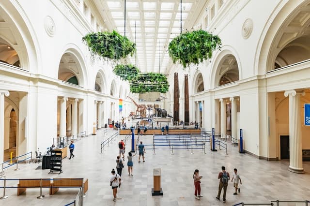 Best Field Museum Tours & Chicago Natural History Experiences