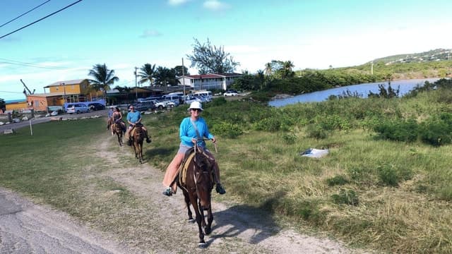 Antigua: Horseback Riding at Royalton or Dickenson Bay