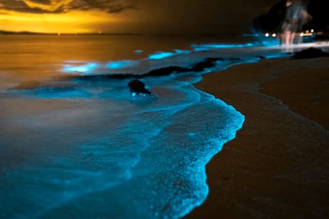 Phuket's Glowing Seas: Phang Nga Bay Night Tour