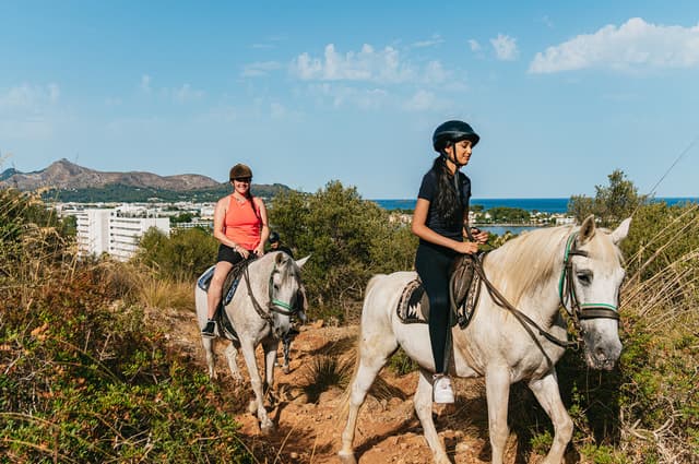 Explore Mallorca on Horseback: Scenic Island Tours