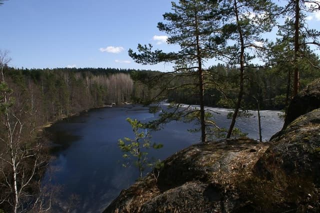 Best Nuuksio National Park Hiking Tours from Helsinki