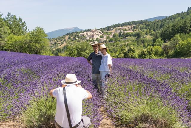 From Avignon: Lavender Villages Full-Day Tour