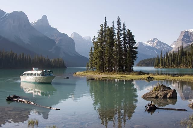 Jasper: Wildlife and Sightseeing Tour with Maligne Cruise