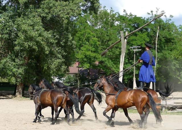 Puszta Tour and Horse Show