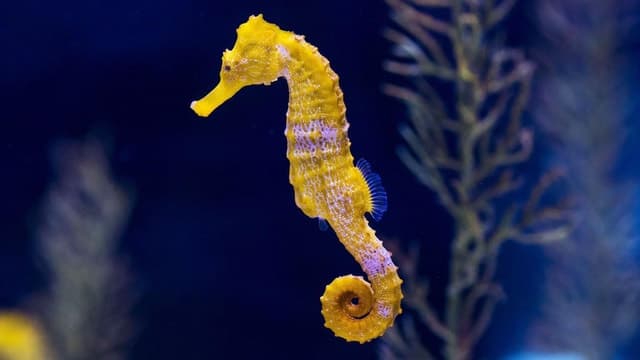Gran Canaria Day Trip from Tenerife