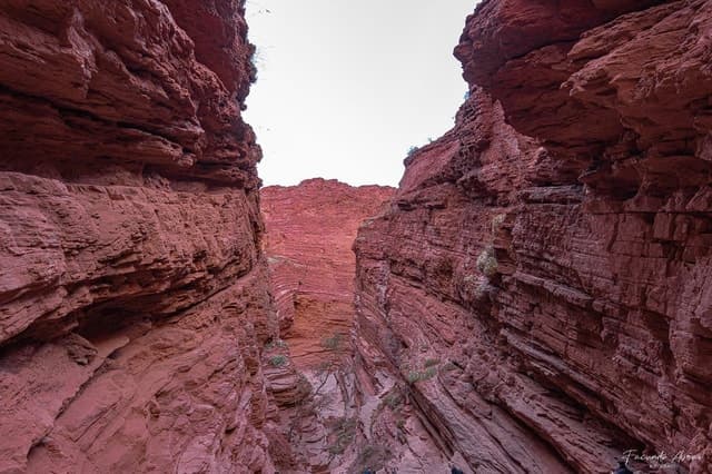 From Salta: 2 Day Guided Trip to Cafayate & Salinas Grandes