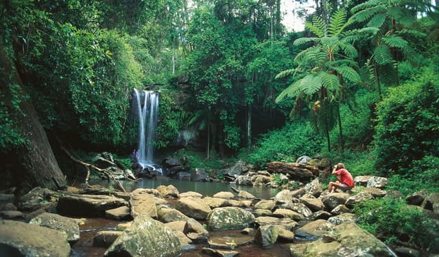 Tamborine Mountain Bus Tours from Brisbane